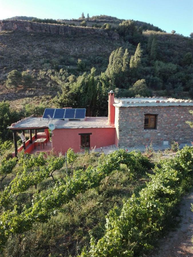 Cortijo El Cerrillo Guest House - Granada